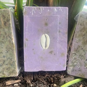 Puede incluir: Tres barras rectangulares de jab&oacute;n. Dos son verdes con materia vegetal visible, y una es lavanda con una concha incrustada en el centro. Todas est&aacute;n envueltas en pl&aacute;stico transparente.