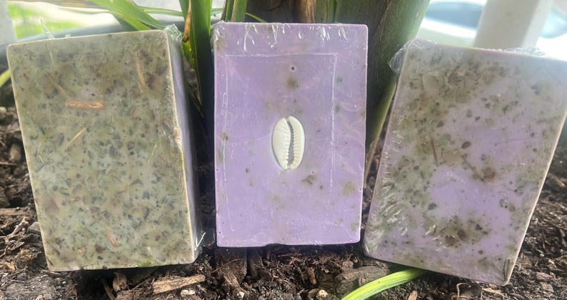 Puede incluir: Tres barras rectangulares de jab&oacute;n. Dos son verdes con materia vegetal visible, y una es lavanda con una concha incrustada en el centro. Todas est&aacute;n envueltas en pl&aacute;stico transparente.