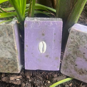 Puede incluir: Tres pastillas de jab&oacute;n rectangulares, envueltas en pl&aacute;stico transparente. Una pastilla es de color lavanda con una concha blanca, y las otras dos son verdes y marrones. Los jabones se exhiben sobre un lecho de tierra oscura, con plantas verdes al fondo.