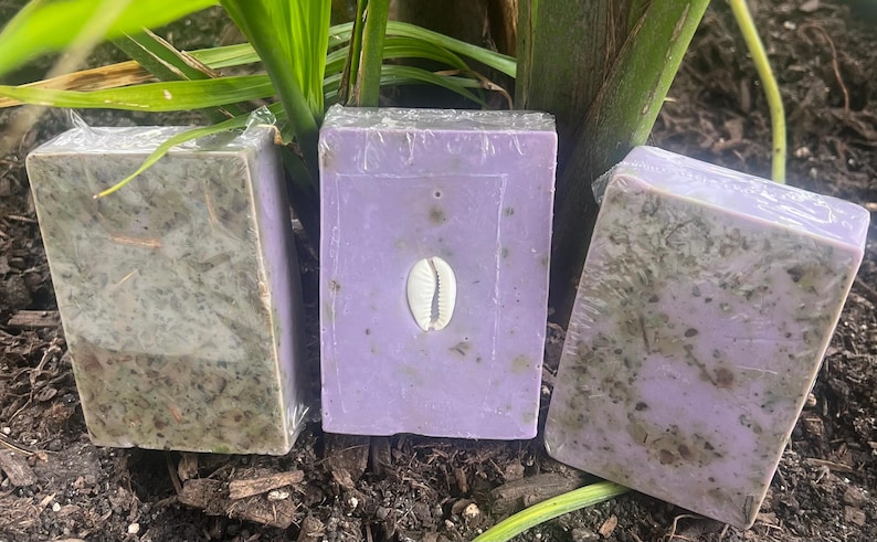 Puede incluir: Tres pastillas de jab&oacute;n rectangulares, envueltas en pl&aacute;stico transparente. Una pastilla es de color lavanda con una concha blanca, y las otras dos son verdes y marrones. Los jabones se exhiben sobre un lecho de tierra oscura, con plantas verdes al fondo.