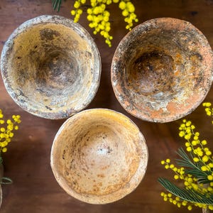 Set of 3 Terracotta French Sap Pots