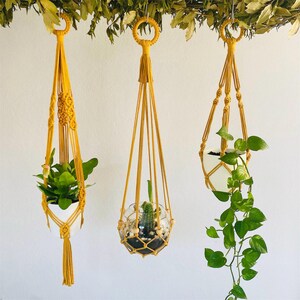 Puede incluir: Tres colgadores de plantas de macramé amarillos, cada uno con una planta diferente. Uno sostiene una planta pequeña, otro un cactus en un cuenco de vidrio y el tercero una enredadera. Los colgadores están suspendidos de una rama con hojas verdes.