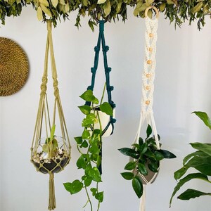 Puede incluir: Tres colgadores de plantas de macramé en varios estilos y colores. Uno es beige con un terrario de vidrio, otro es verde azulado con una maceta blanca, y el tercero es blanco con cuentas de madera y una maceta marrón. Plantas verdes caen de las macetas.