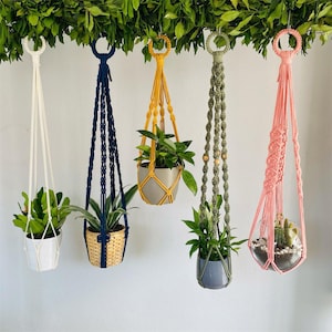 Op de afbeelding: Vijf macramé plantenhangers in verschillende kleuren: wit, marineblauw, geel, olijfgroen en roze. Elke hanger bevat een potplant, met een verscheidenheid aan groen. De hangers hangen aan een groene, bladerrijke tak.