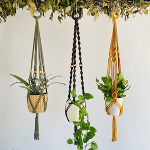 Puede incluir: Tres colgadores de plantas de macramé en verde oliva, marrón y amarillo mostaza, cada uno con una planta en maceta. El colgador verde oliva tiene una cesta tejida, el marrón una maceta blanca y el amarillo una maceta blanca. Todos están suspendidos de una rama.