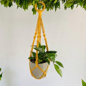 Könnte beinhalten: Ein senfgelber Makramee-Pflanzenaufhänger mit einem grauen Keramiktopf, der eine grüne Pflanze enthält. Der Pflanzenaufhänger ist an einem Metallring aufgehängt und hat ein geometrisches Design. Die Pflanze hat lange grüne Blätter.