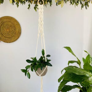 Könnte beinhalten: Ein cremefarbener Makramee-Pflanzenaufhänger mit einem Holzring, der einen kleinen, runden, grauen Topf mit grünen Blättern hält. Der Aufhänger hängt vor einer weißen Wand, mit einer gewebten Wanddekoration und anderen Pflanzen im Hintergrund.