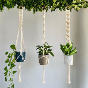Puede incluir: Tres colgadores de plantas de macramé con aros de madera y cuerda color crema. Cada uno sostiene una planta en maceta con follaje verde. Una maceta es azul marino, otra gris y otra blanca. Los colgadores cuelgan de una rama verde frondosa.