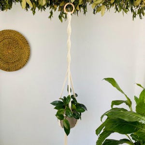 Könnte beinhalten: Ein cremefarbener Makramee-Pflanzenaufhänger mit einem Holzring, der eine Topfpflanze mit dunkelgrünen Blättern hält. Der Blumentopf ist beige. Der Aufhänger befindet sich vor einer weißen Wand mit einer gewebten Wanddekoration.