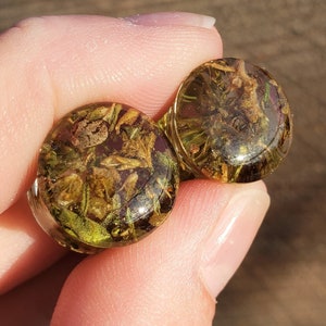 Puede incluir: Dos medidores de oreja de resina transparente con un diseño de flores prensadas verdes y marrones.