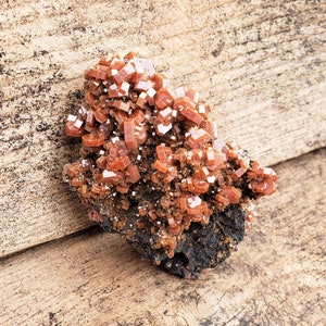 May include: A cluster of orange-red crystals on a dark gray rock. The crystals are small and have a rough, textured surface. The rock is irregular in shape and has a rough, textured surface.