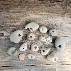 Hag Stone Small Alter Stones: Protection Spell Goddess Stone Odin Hex Adder Holy Hedge Witch Folk Magic Worn Ocean Rocks Wiccan Gaia
