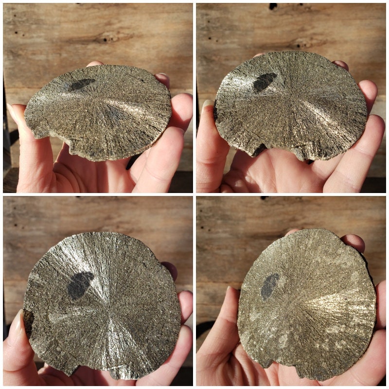中古美品⭐︎more than SOLARIA&TD Solt Popper Pyrite Sun: RARE Limited Stock 140 Gram Round Flat Sparkling