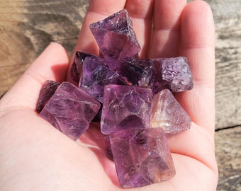 Fluorite Tetrahedrons: Medium Size Natural Uncut Dark Purple, Light Purple, or Purple & Green Crystal Points 8 Eight Sided Mineral Specimen