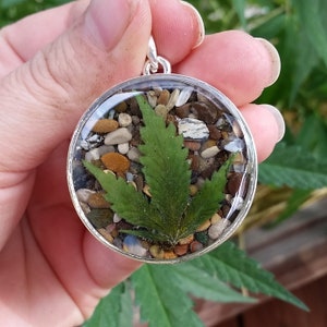 May include: A silver pendant with a clear resin dome containing a green leaf and small colorful stones.