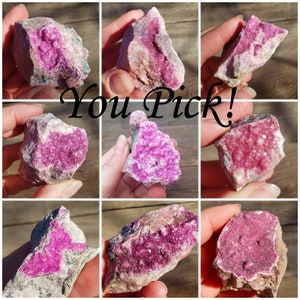 Cobaltoan Calcite Crystals: YOU PICK Medium Sized Druzy Bright Pink Dark Pink Congolese Cobalt High Quality on Matrix Mineral Specimen