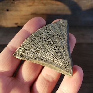 Pyrite Sun: RARE Limited Stock 36 Gram Partial Round Flat Sparkling Pyrite Covered Disc Shape Marcasite Sun Miners Dollar Sun Sand Dollar 10