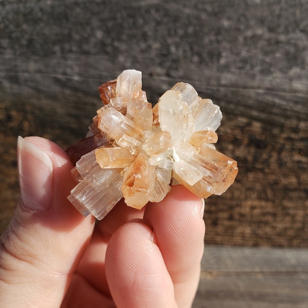 Aragonite Crystal Clusters: RARE Sputnik Bicolor Light Blue & Orange Small Size OLD STOCK Small Moroccan 360 Degree Spike Coverage