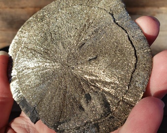 Pyrite Sun: RARE Limited Stock 138 Gram Round Flat Sparkling
