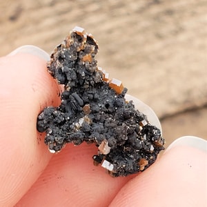 Puede incluir: Primer plano de un espécimen mineral sostenido entre los dedos. El espécimen presenta una base oscura y porosa con grupos de pequeños cristales cúbicos de color naranja. Los cristales contrastan con la matriz oscura.