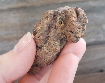 恐竜の糞の化石：59グラムの糞石化石古代恐竜の糞の化石モロッコ