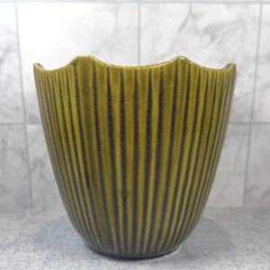 May include: A ceramic planter with a glossy olive green glaze and a vertical ribbed texture. The vessel features a scalloped, wavy rim design that curves along the top edge, creating a distinct silhouette with deep grooves between each rib.