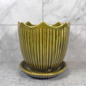 May include: An olive green ceramic plant pot with a scalloped rim and vertical ribbed texture, accompanied by a matching circular saucer. The glazed finish has subtle variations in tone, highlighting the vertical ridges along the exterior.