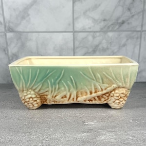 May include: Rectangular ceramic planter with a light green and beige color scheme. The planter features a textured design of pinecones and foliage. The interior is a light cream color. The planter is elevated on small feet.