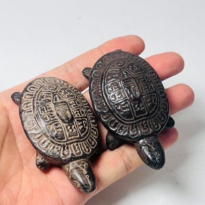 Thai Wealth Turtle Amulet Set: LP Boon Blessed, Sacred Herbs