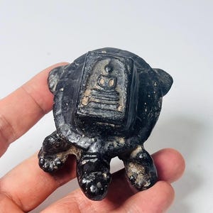 LP Tim Wealth Turtle Amulet: Phra Somdej, Sacred Thai Herb