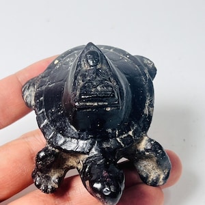 LP Thuad Wealth Turtle Amulet: Sacred Herbs, Luck, Protection