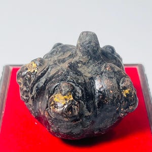Rare 5-in-1 Phra Pidta Amulet – Blessed by Luang Pu Tim, Wat Lahan Rai, 1975 – Powerful Thai Protection Talisman