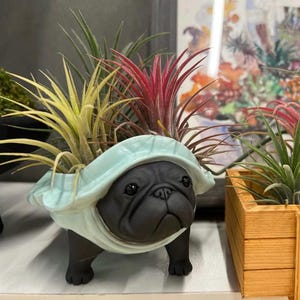 Maceta de bulldog francés hecha a mano, maceta para suculentas, decoración de jardín, adorable, disfraces de tortuga, regalo de inauguración de la casa, plantas de interior, jardín