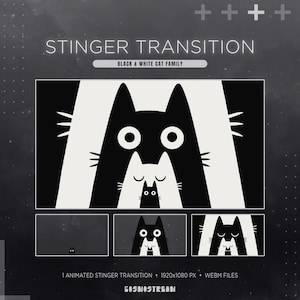 May include: A black and white graphic design featuring a cat family. The image includes the text "STINGER TRANSITION" and "BLACK & WHITE CAT FAMILY". Additional text indicates the product is an animated stinger transition with 1920x1080 px WEBM files.