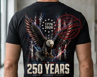 2 VS 250e verjaardag png, we The People png, patriottische zeearend, Amerikaanse vlag sublimatie, Amerikaanse vlag zwarte achtergrond, digitale download