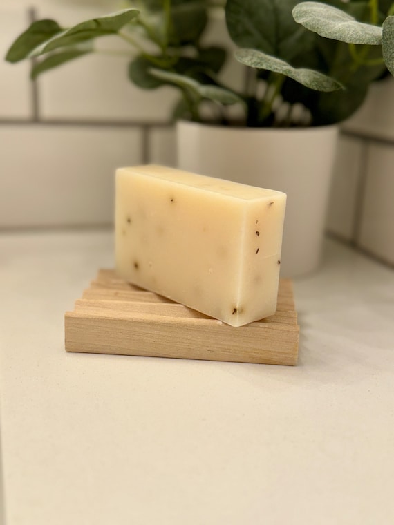 Eucalyptus Aloe Scented Natural Hand or Body Soap Bar 4.8oz