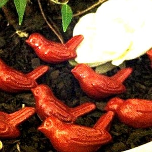 Red Bird Drawer Knobs: Shabby Chic Cast Iron Pulls - Set of 2