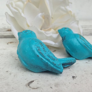 May include: Two turquoise cast iron bird ornaments with a distressed finish. The birds are on a white, weathered surface, with a large white flower behind them. The ornaments have a rustic, vintage aesthetic, suitable for home decor.