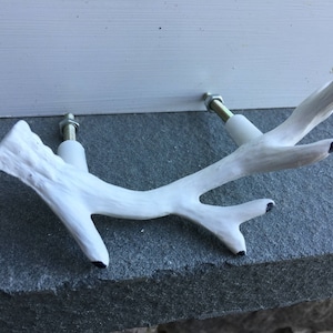 May include: White antler-shaped cabinet pulls with black tips, mounted on a grey surface. The decorative hardware features a naturalistic design, adding a rustic touch to furniture or cabinetry. Each pull is attached with a metal bolt.