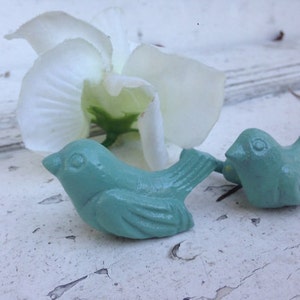 May include: Two teal blue bird figurines with a white flower in the background.