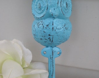 Wall Hook / Wall Hanger / Shabby Chic Hook / AQUA in color / Cast Iron Hook