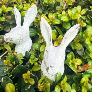 Bunny Knobs / White Bunny Knobs / Shabby Chic Cast Iron, Set of 2