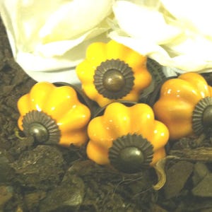 Pumpkin Orange Ceramic Drawer Knobs - Shabby Chic Set of 4