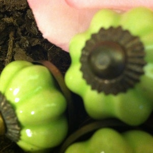 May include: Four green ceramic cabinet knobs with a scalloped design and a brown metal center. The knobs have a glossy finish.