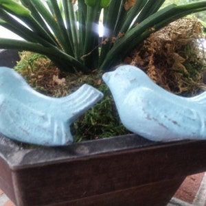 May include: Two blue bird figurines with a distressed paint finish, sitting in a planter with green moss and plants.