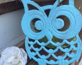 Owl Trivet/ Cast Iron Owl Trivet/ Large Owl Trivet/ Blue Owl Trivet/ Kitchen Decor