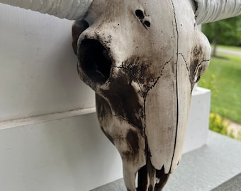 Cow Skull, Cow Head, Western Decor, Home and Garden Decor, Wall Decor, Cow Decor, Cow Wall Decor