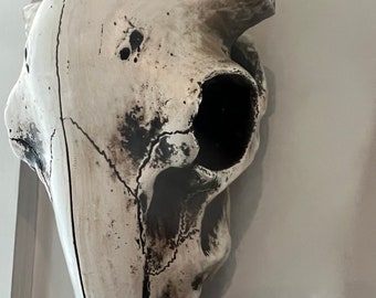 Resin Cow Skull Wall Decor: Western Home Accent (10.5 inch)