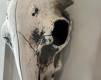 Cow Skull, Cow Head, Western Decor, Home and Garden Decor, Wall Decor, Cow Decor, Cow Wall Decor