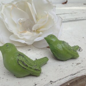 May include: Two small green ceramic bird figurines with a white flower in the background.